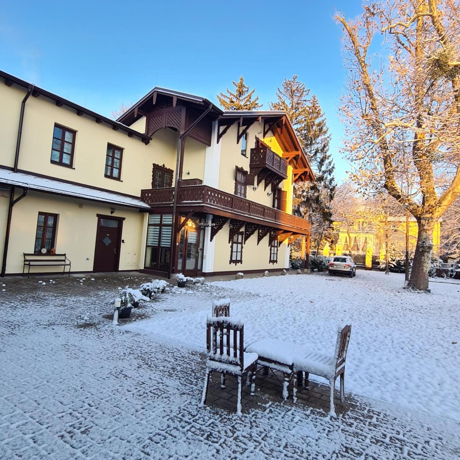 Villa Musik - Historical Apartments In バーデン エクステリア 写真