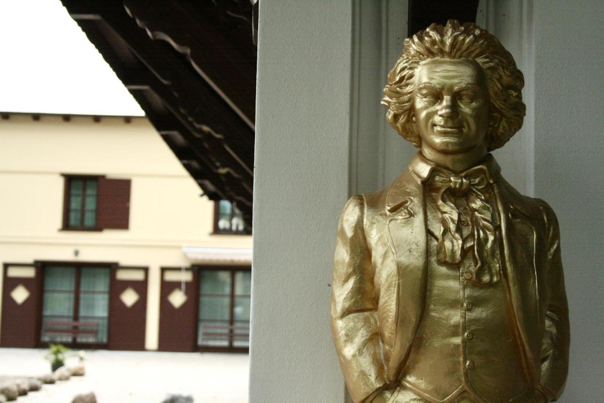 Villa Musik - Historical Apartments In バーデン エクステリア 写真