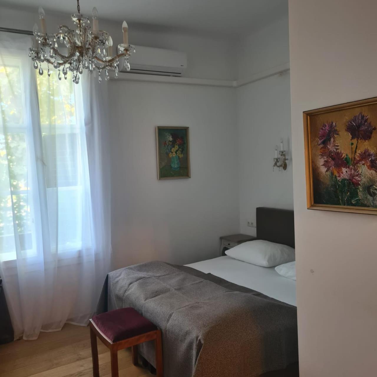 Villa Musik - Historical Apartments In バーデン エクステリア 写真